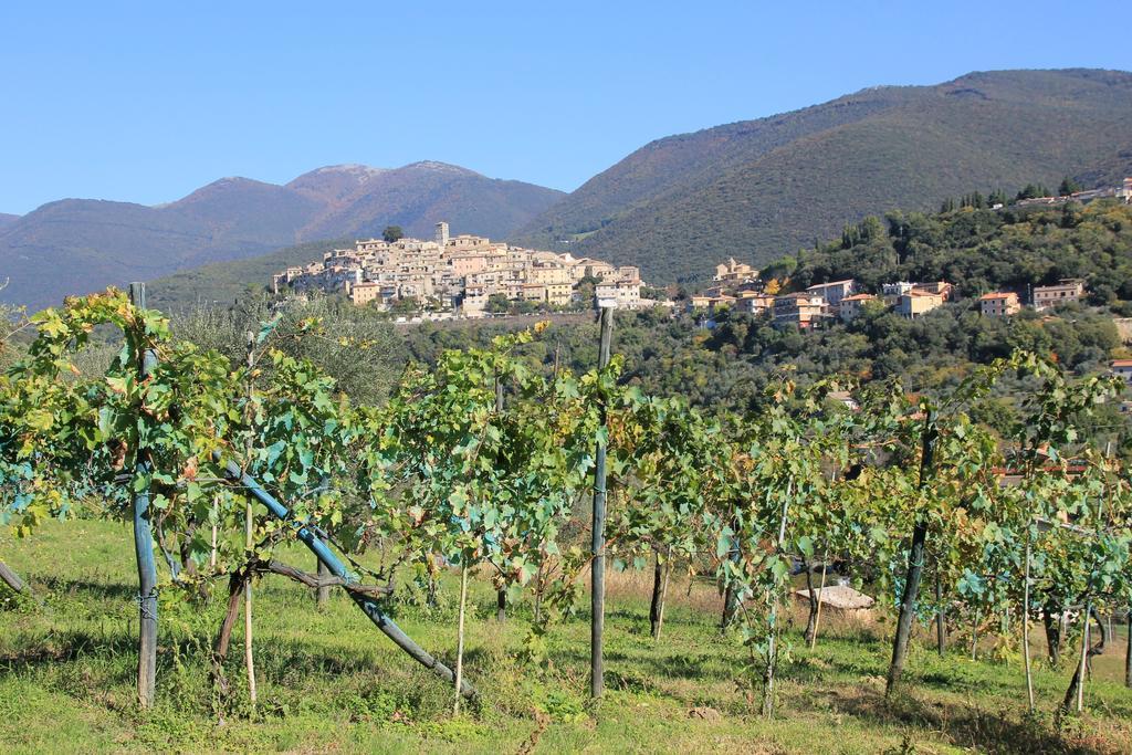 B&B Colle Perrini Country House Casperia Exterior photo